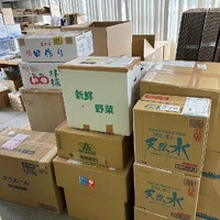 画像264