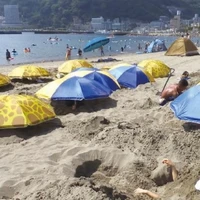 画像451